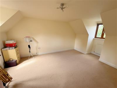 Picture 13